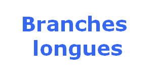 Branches  longues